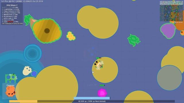 Бета Сходка в  Мопио. Эволюция животных в мире Моуп ио | Mope Io