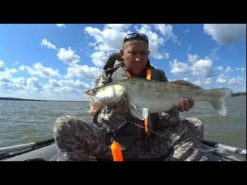 ЛОВЛЯ СУДАКА! на спиннинг осенью на реке ОБЬ.