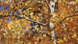 ПОКРАСНЕЛА РЯБИНА - муз и исп. И. Плахута, сл. В. Фалько