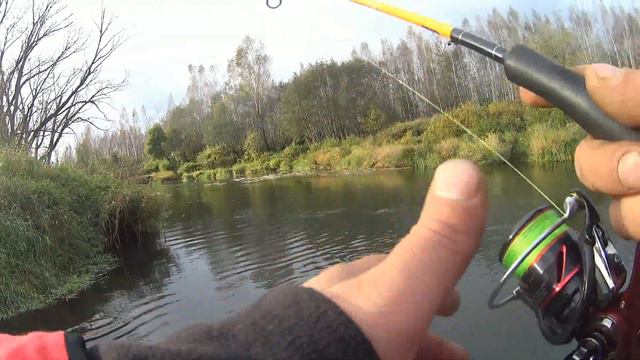 ЩУКА на спиннинг в начале октября!#рыбалка#спиннинг#щука#окунь#река#сплав#воблер#жор#силикон#осень смотреть онлайн