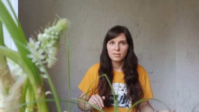 Актуальное на стоках: как вывести деньги, какой банк выбрать. Регистрация Payoneer. Невыгодный курс