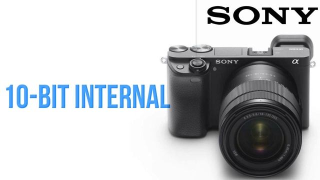 Sony a7000 Specs Rumoured : 26MP, 12fps, 4K, Dual SD Slot смотреть онлайн