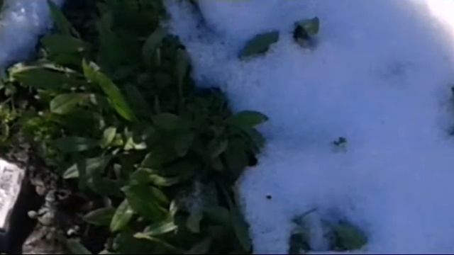 Пробуждение весны. смотреть онлайн