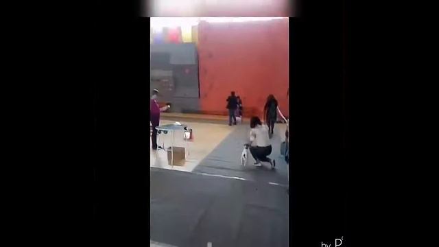 Выставка собак г. Уфа. (ДРТ) "Верда" смотреть онлайн