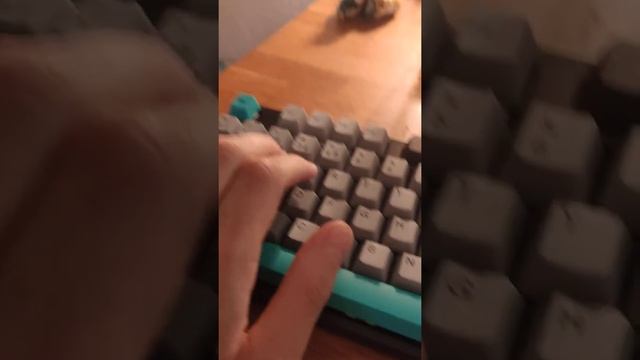 Varmilo EC Ivy Switch Test смотреть онлайн