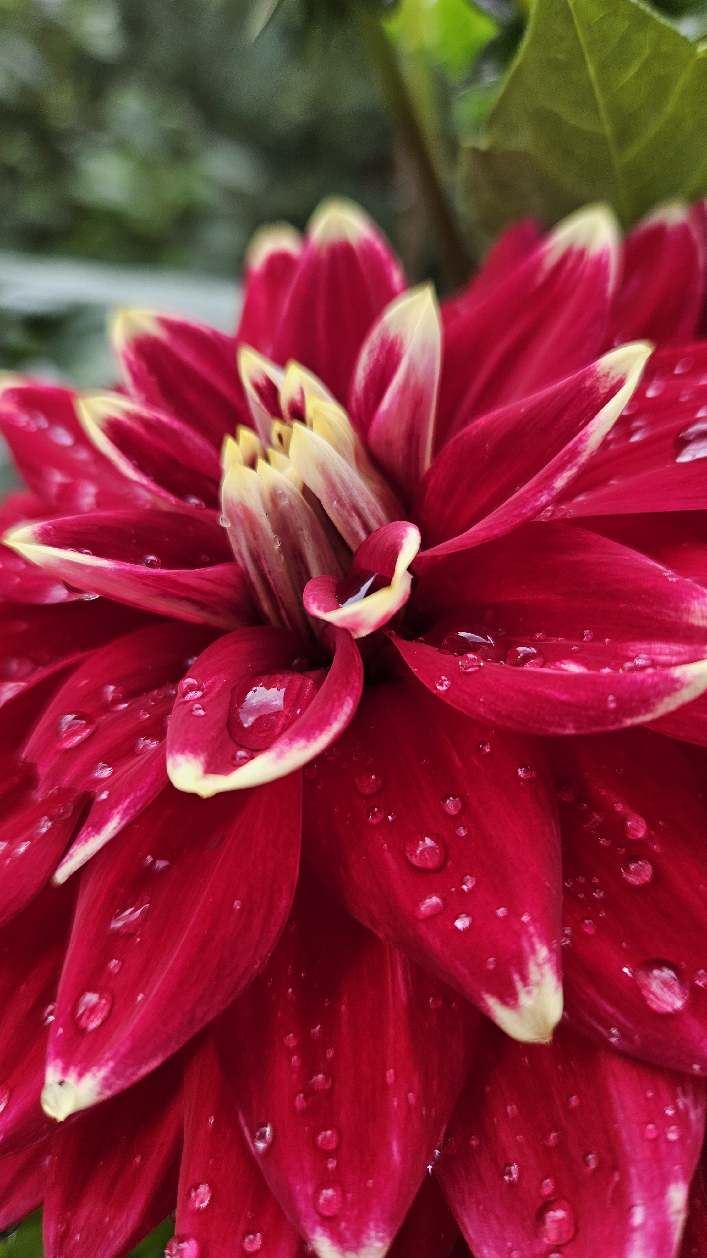 Дачные каникулы|#летникRUTUBE#лайфстайл#дача#огород#lifestyle#lifestylevlog смотреть онлайн