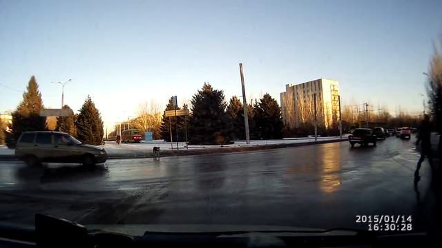 вежливые люди, умная собака смотреть онлайн