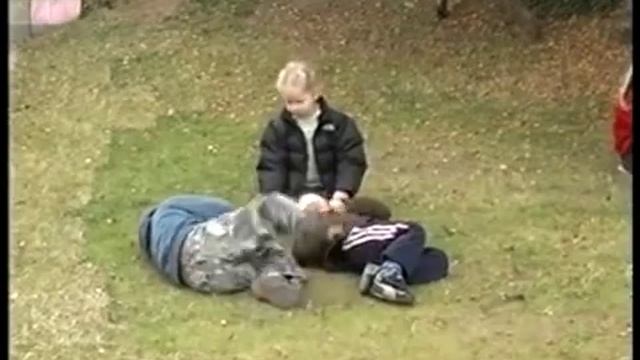 Исландия и ее образовательная система. Iceland.