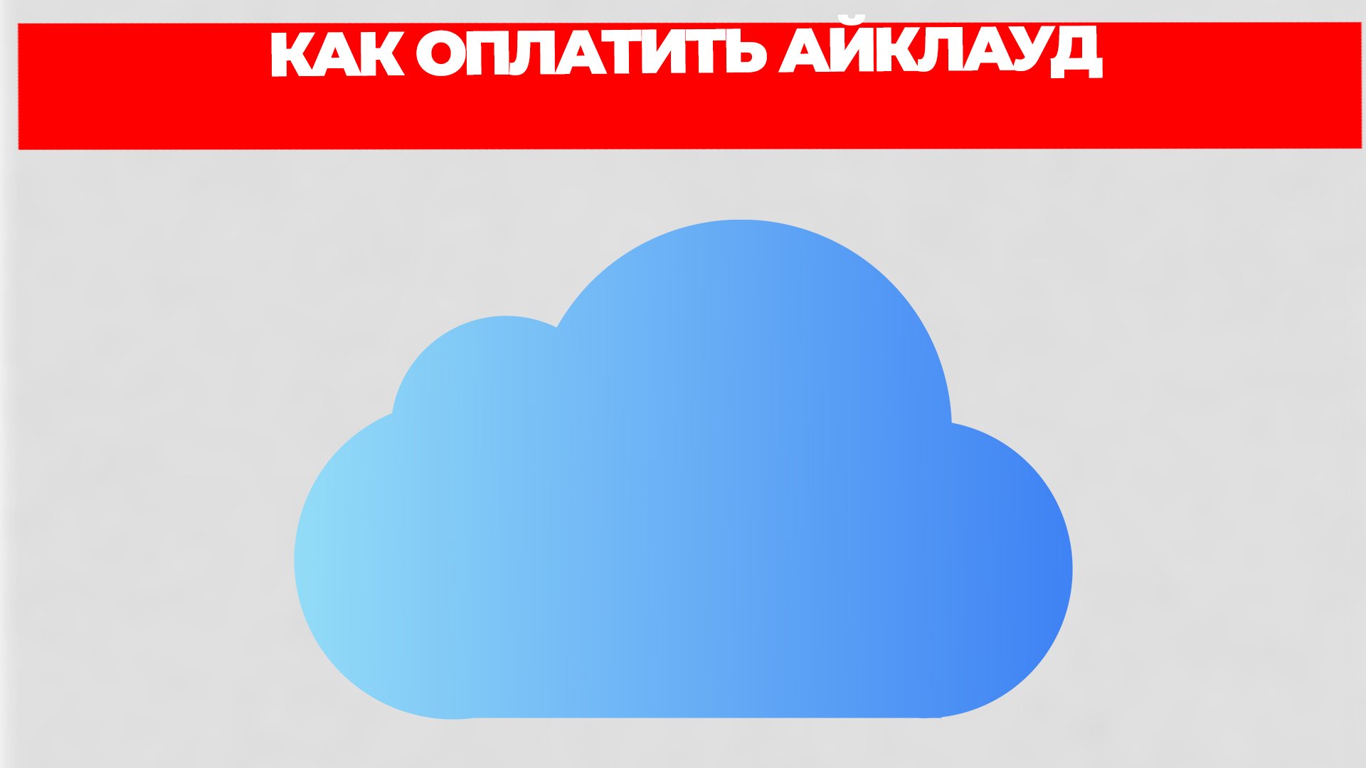 Всезнающий Енот