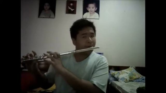 My Heart Will Go On Flute Cover смотреть онлайн