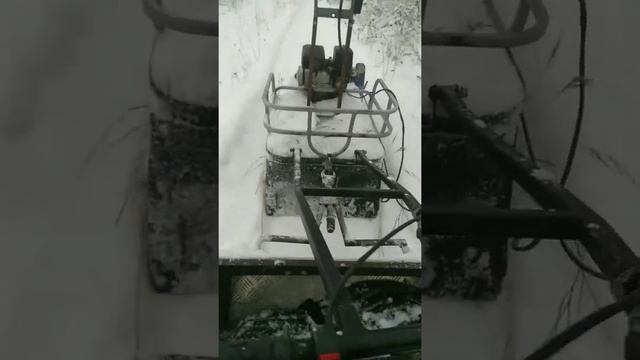 Мухтар 7 на санках