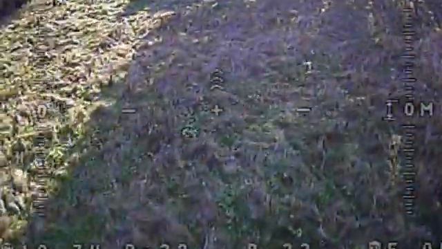 Walkera runner 250 + FatShark dominator 2 + Sony Foxeer xat600m смотреть онлайн