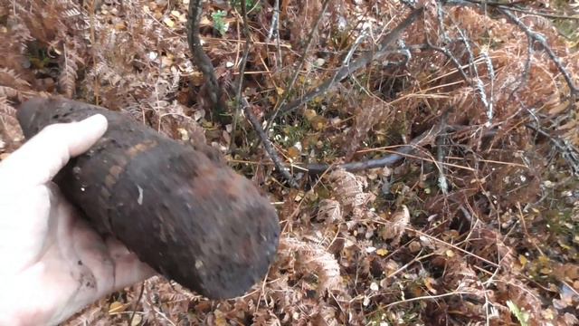 Упал в болото и сохранился смотреть онлайн