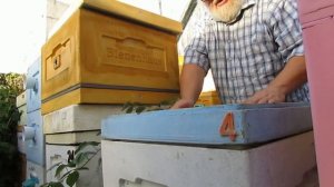 зимовка пчел в ульях ППУ и ППС - часть 2 - сборка гнезда и вентиляция при зимовке пчел в помещении