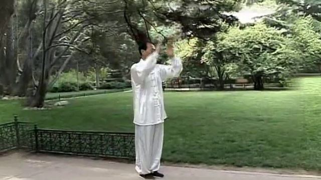 Синъ И Цюань. 5 кулаков. Сунь Суй