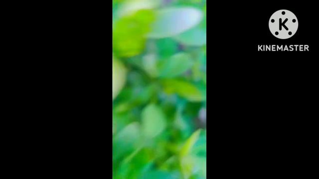 MY FAST VLOG!!MY FAST VLOG ON YOUTUBE [VICTOR EXCEL]#viral #vlog #vlogs #souravjoshivlogs смотреть онлайн