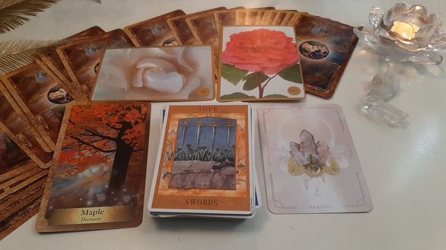 Taurus ♥️ Upcoming! Each Day Of The Week, Timestamped Tarot & Oracle 26 september - 2 october смотреть онлайн