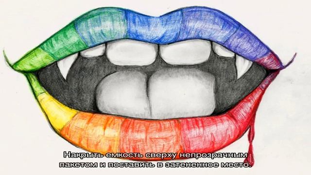 Размножаем спирею зеленым черенкованием смотреть онлайн