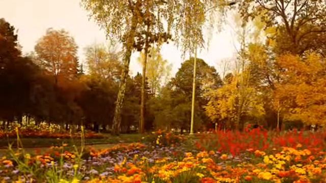 НАЛЬЧИК) смотреть онлайн