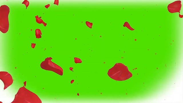 Сердце из лепестков роз, зеленый фон, хромакей, день влюбленных смотреть онлайн