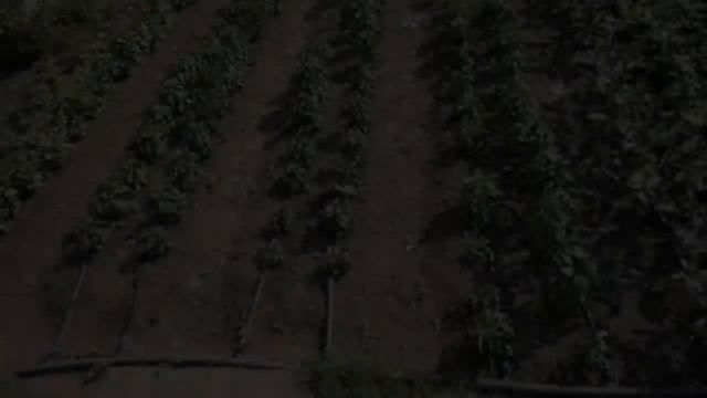 Фурнитура Для Капельного Полива смотреть онлайн