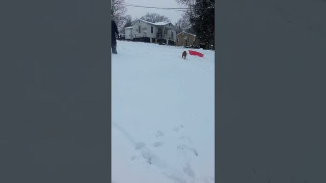 Snowmania 16 смотреть онлайн