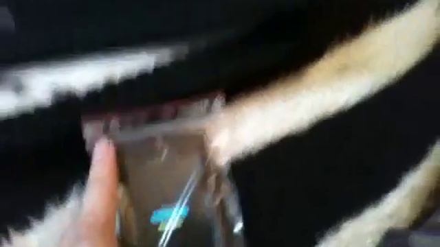 Last video of iPod touch and the cowon смотреть онлайн