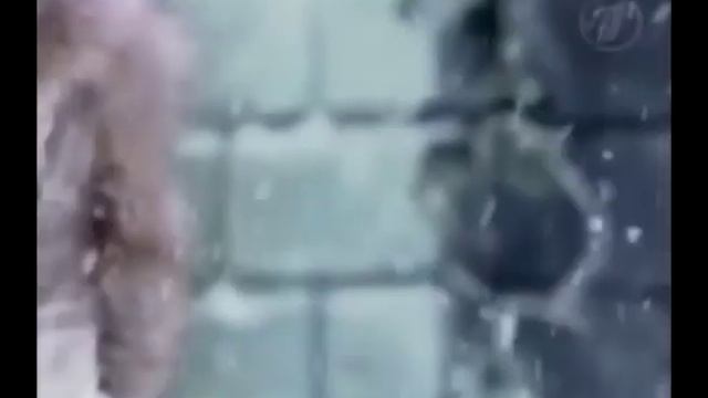 RYTP ФРУКТОЗА А ГРАД ИДЕТ смотреть онлайн