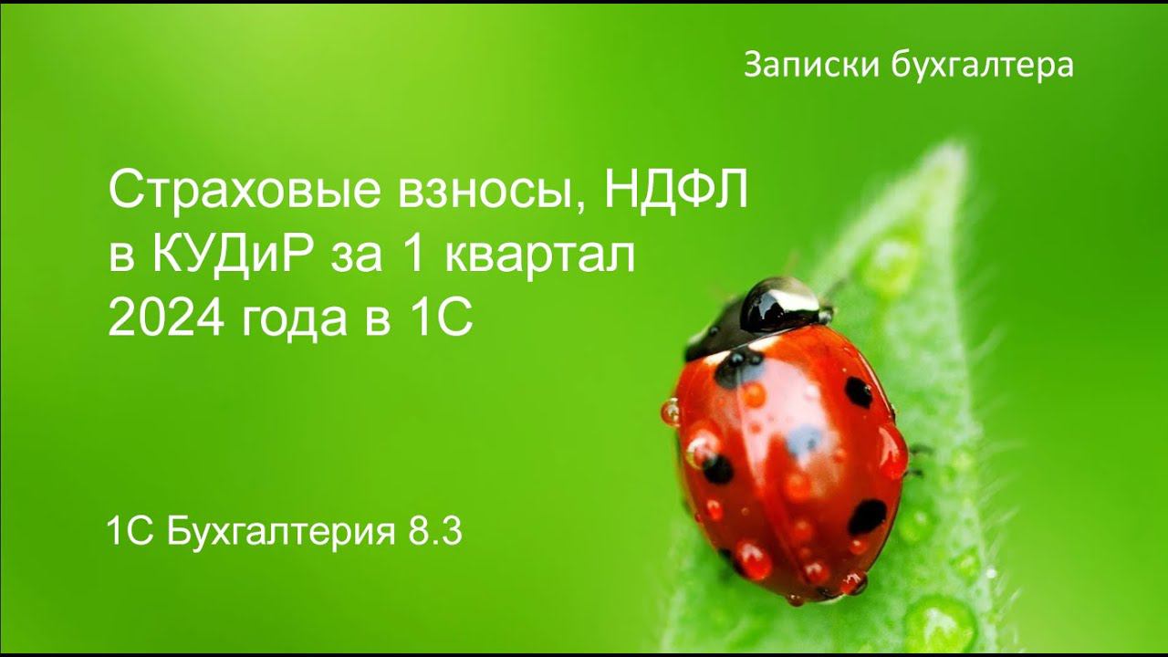 Страховые взносы, НДФЛ в КУДиР за 1 квартал 2024 года в 1С смотреть онлайн