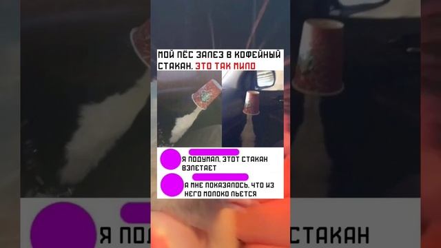 #short #shorts #мем #мемы #прикол #юмор #funny (36) смотреть онлайн