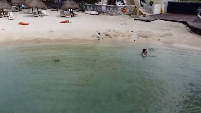 volando por cozumel 2023 hotel Park Royal смотреть онлайн