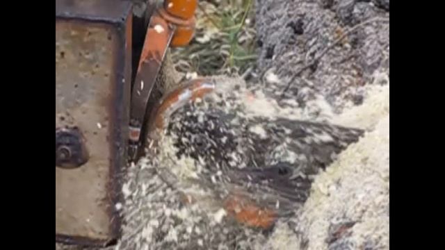 Бензопила .Дружба. смотреть онлайн