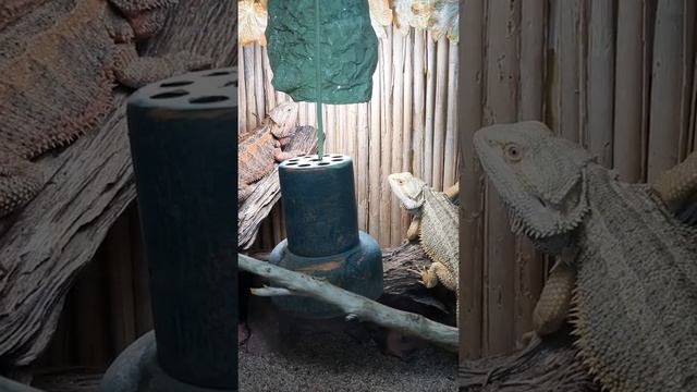 Минск зоопарк 2 смотреть онлайн