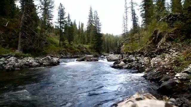 #табиғат #природа #Катонқарағай #Катон #шығысқазақстан #шыгыс #казакстан #вко #восток #казахстан смотреть онлайн