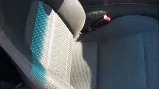 1996 Mazda MX-5 Miata Used Cars Mount Olive NC смотреть онлайн