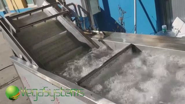 Барботажная машина Vega BW 2200, деликатная мойка продуктов смотреть онлайн