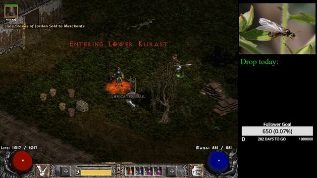 Diablo 2 - Sacred Targe Rack смотреть онлайн
