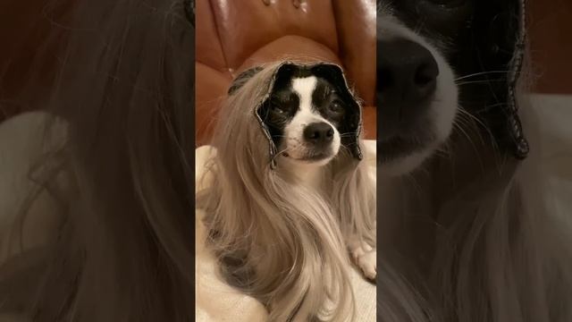 600000 рублей на содержание смотреть онлайн