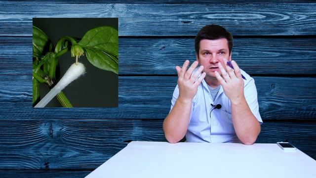 Выращивание перца от А до Я в теплице. Как вырастить и получить большой урожай перца. Часть 2 смотреть онлайн