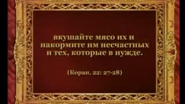 Строительство Каабы YouTube смотреть онлайн