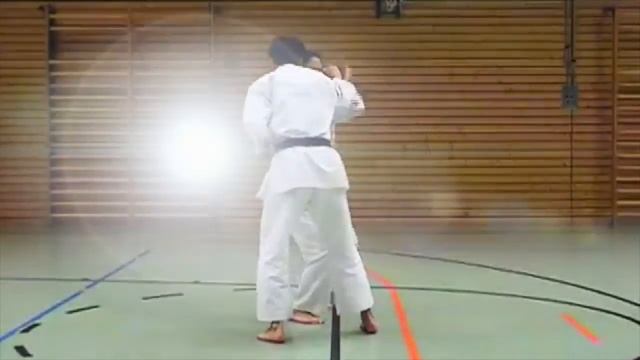 Shotokan Kata Jion смотреть онлайн