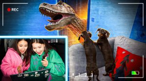 СЛЕДИМ ЗА ЧАПИТОСИКАМИ 24 ЧАСА || ВПЕРВЫЕ ОСТАВИЛИ ОДНИХ