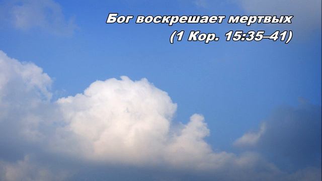 27.11.2013 Воскресшее новое тело (1-е Коринфянам 15:35-49) смотреть онлайн