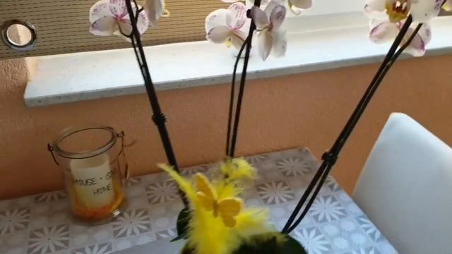 Моя Орхидейка увядает... как можно помочь смотреть онлайн