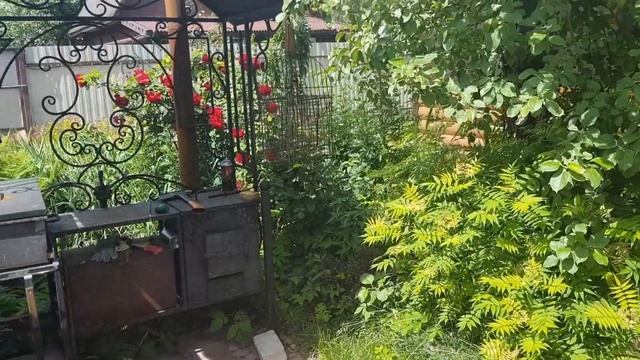 Дача, сезон 2020/Подвожу итоги/ Было-стало/Планы 2021 по благоустройству сада/[Анонсы видео] смотреть онлайн