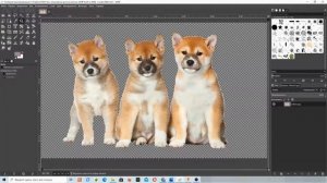 Как удалить или поменять фон фотографии в гимп  2020 год?