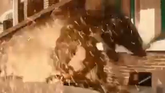 С током не шутят !!! смотреть онлайн