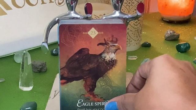 BEST ANIMAL ORACLE DECK!!: The Spirit Animal review & flipthrough смотреть онлайн