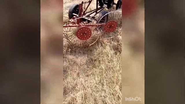 Собираем сено в ряды для тюкования граблями для мотоблока. смотреть онлайн