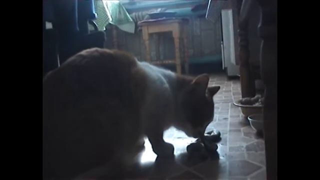 babushka tamara смотреть онлайн